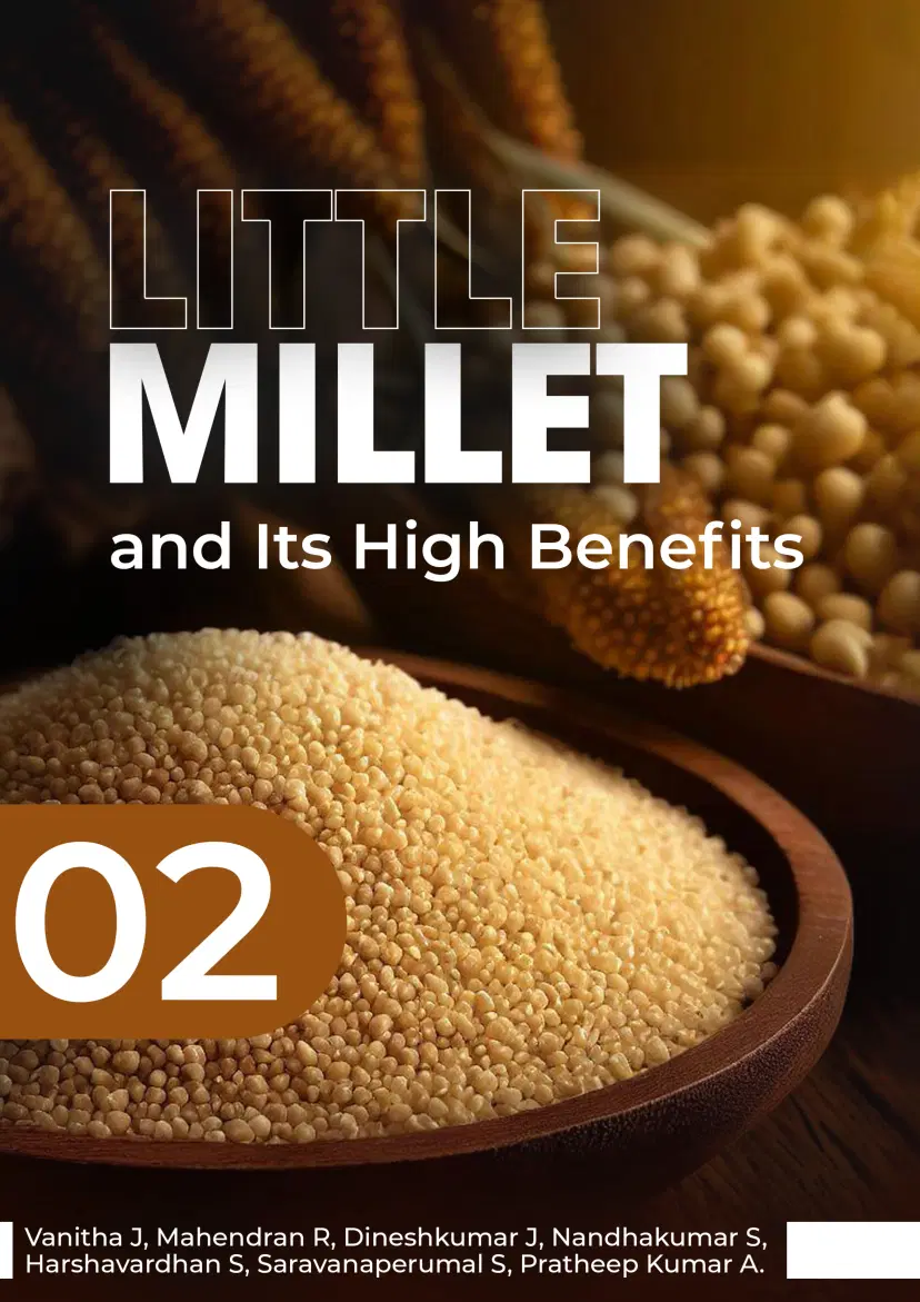 Little Millet and Its High Benefits 